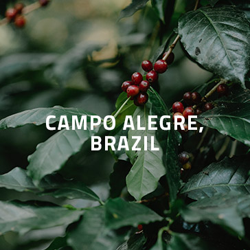 razer cafe campo alegre brazil