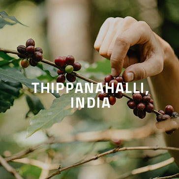 razer cafe thippanalli india
